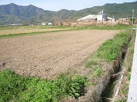 野菜を育てるプロジェクト