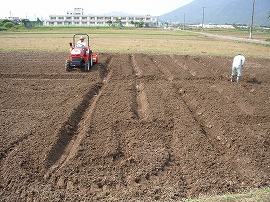 安岡エコタウン菜園