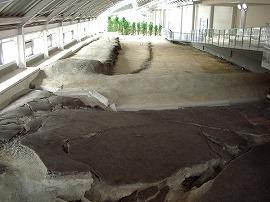 野島断層記念館 野島断層記念館