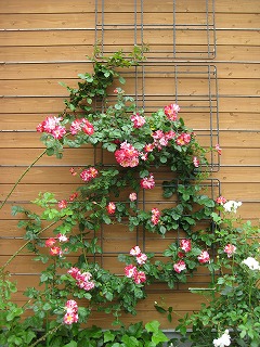 薔薇館「下関　木の家づくり展示館」