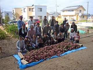 エコ畑「さつまいも堀り」イベント