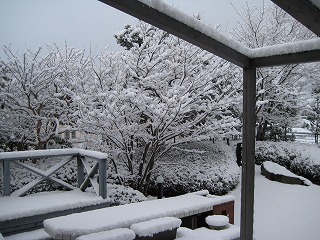 雪景色