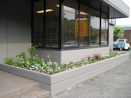 花の花壇 花の花壇