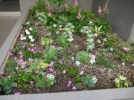 花の花壇 花の花壇