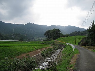 墓参り 墓参り