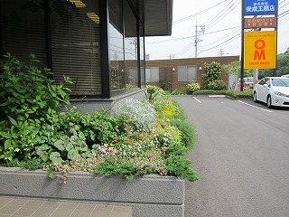 本社建物周辺 本社建物周辺